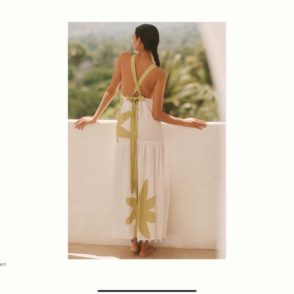 Celandine Drop Waist Midi Dress - Picture 2 of 4